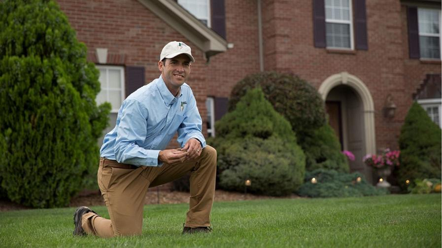 Cover photo of Lawn Doctor of Lakeville-Burnsville-Farmington